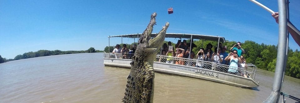 Jumping Crocodile Tours