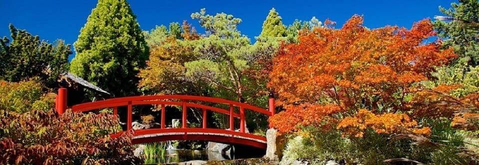 Royal Tasmanian Botanical Gardens