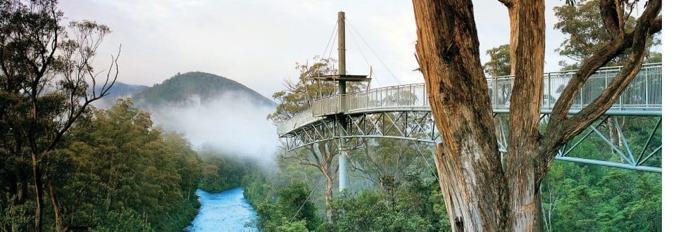 Tahune AirWalk