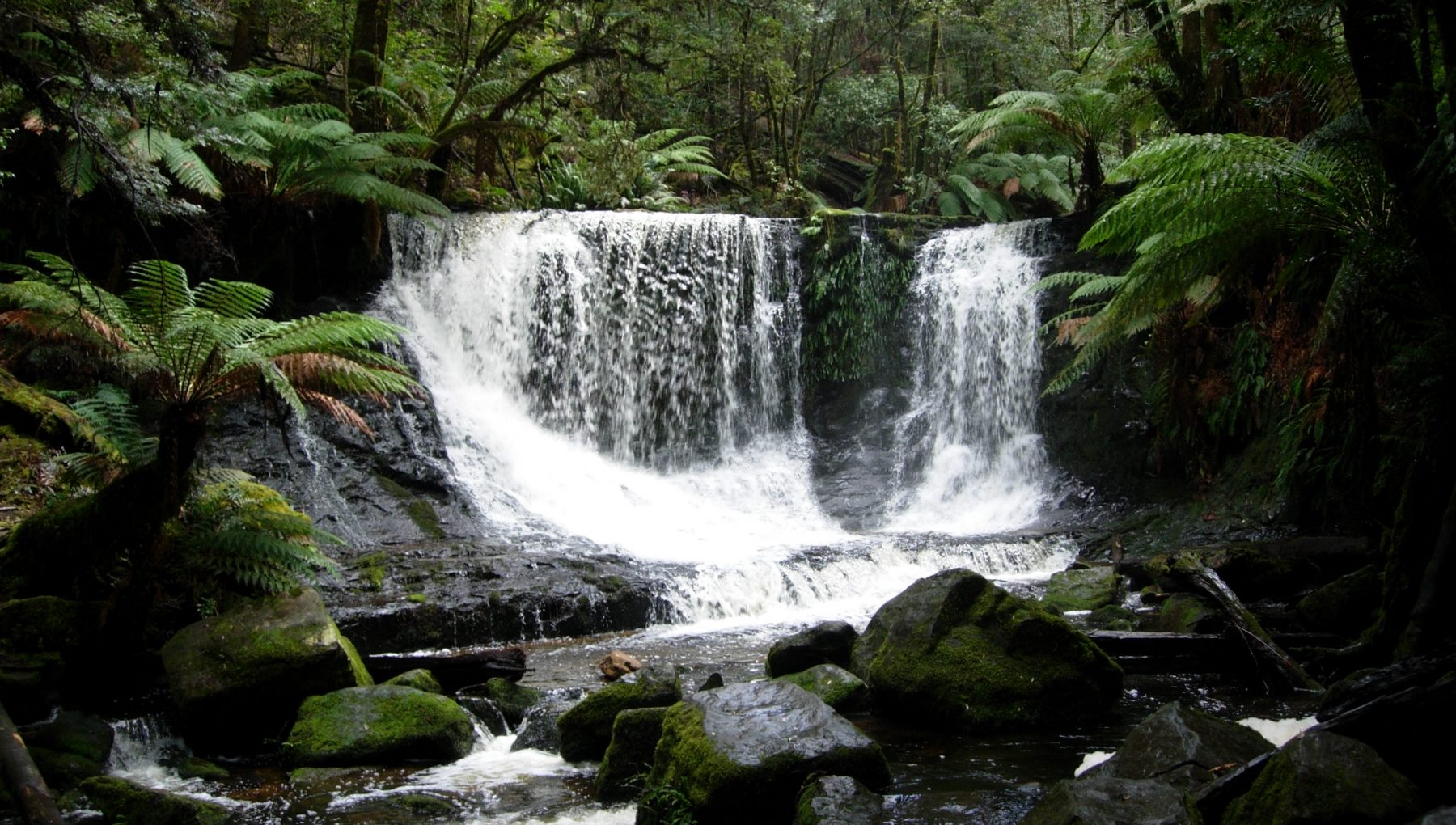 Mt Field National Park