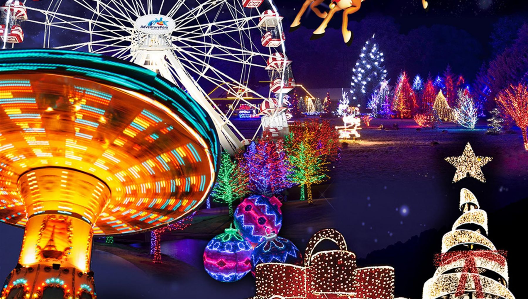 Christmas Festival of Lights 2024