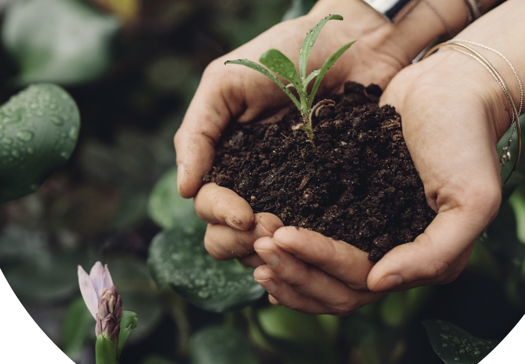 GO GREEN with Rydges Geelong