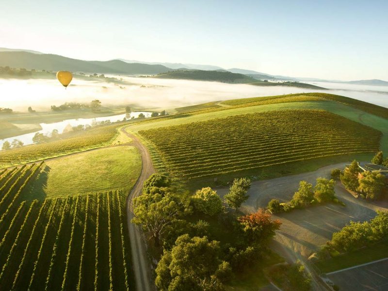 Yarra Valley Tours