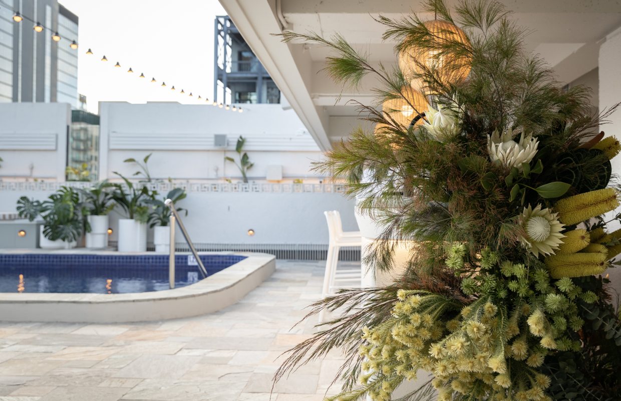Rooftop Pool