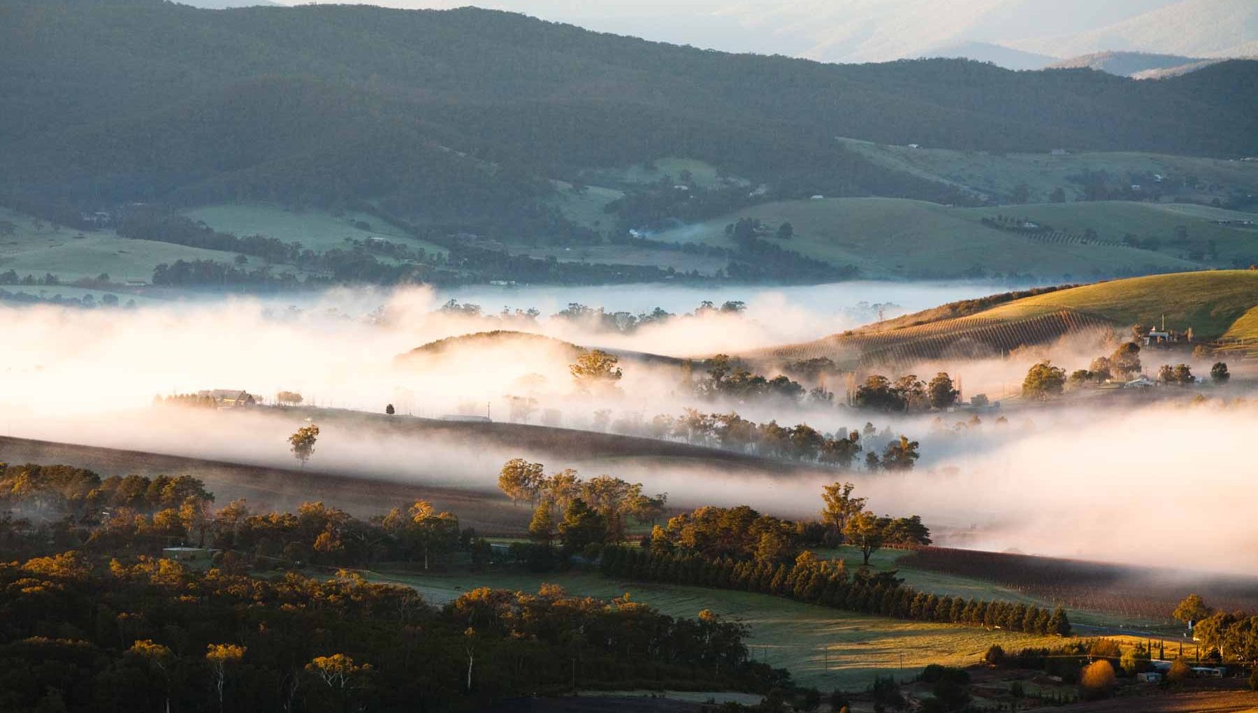 Yarra Valley - Things to Do near Yarra Valley Lodge