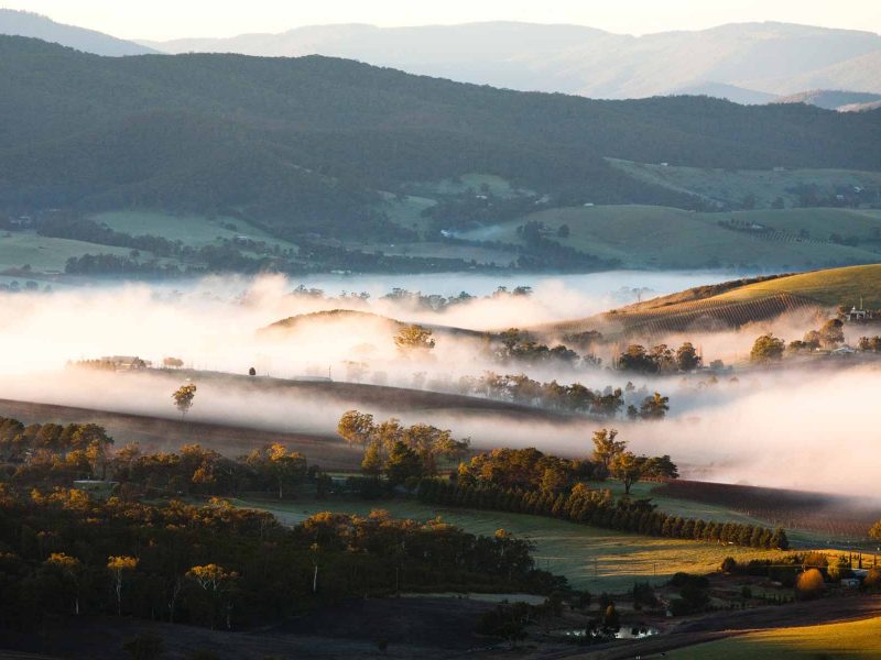 Yarra Valley - Things to Do near Yarra Valley Lodge