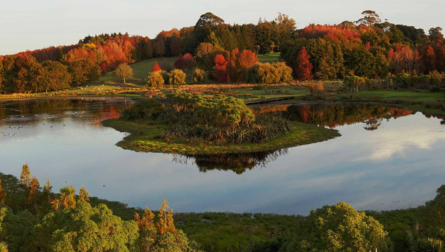 Ayrlies Garddens and Wetlands - Things to do near Rydges Formosa Golf Resort