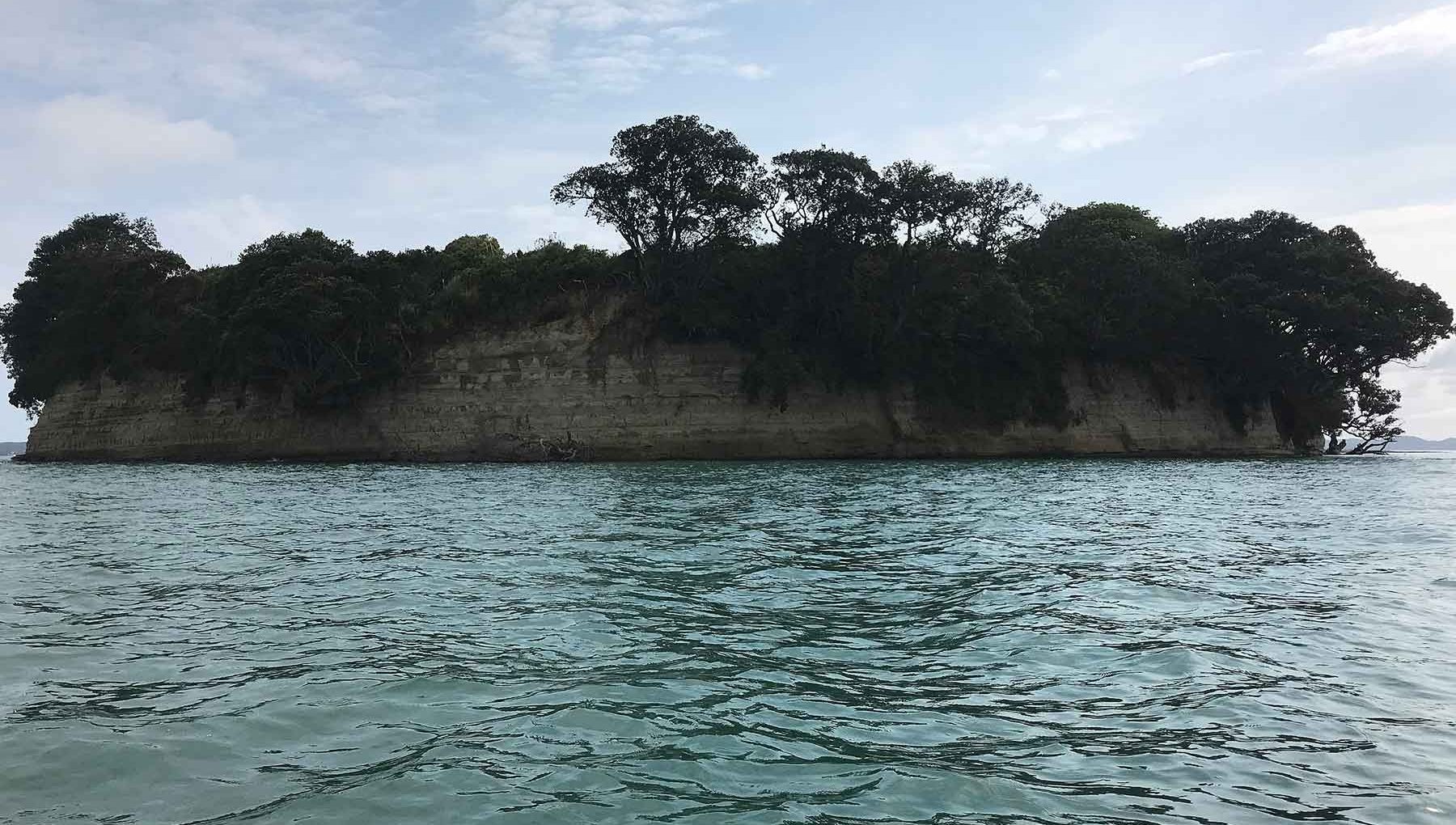 Motukaraka Island - Things to do near Rydges Formosa Golf Resort