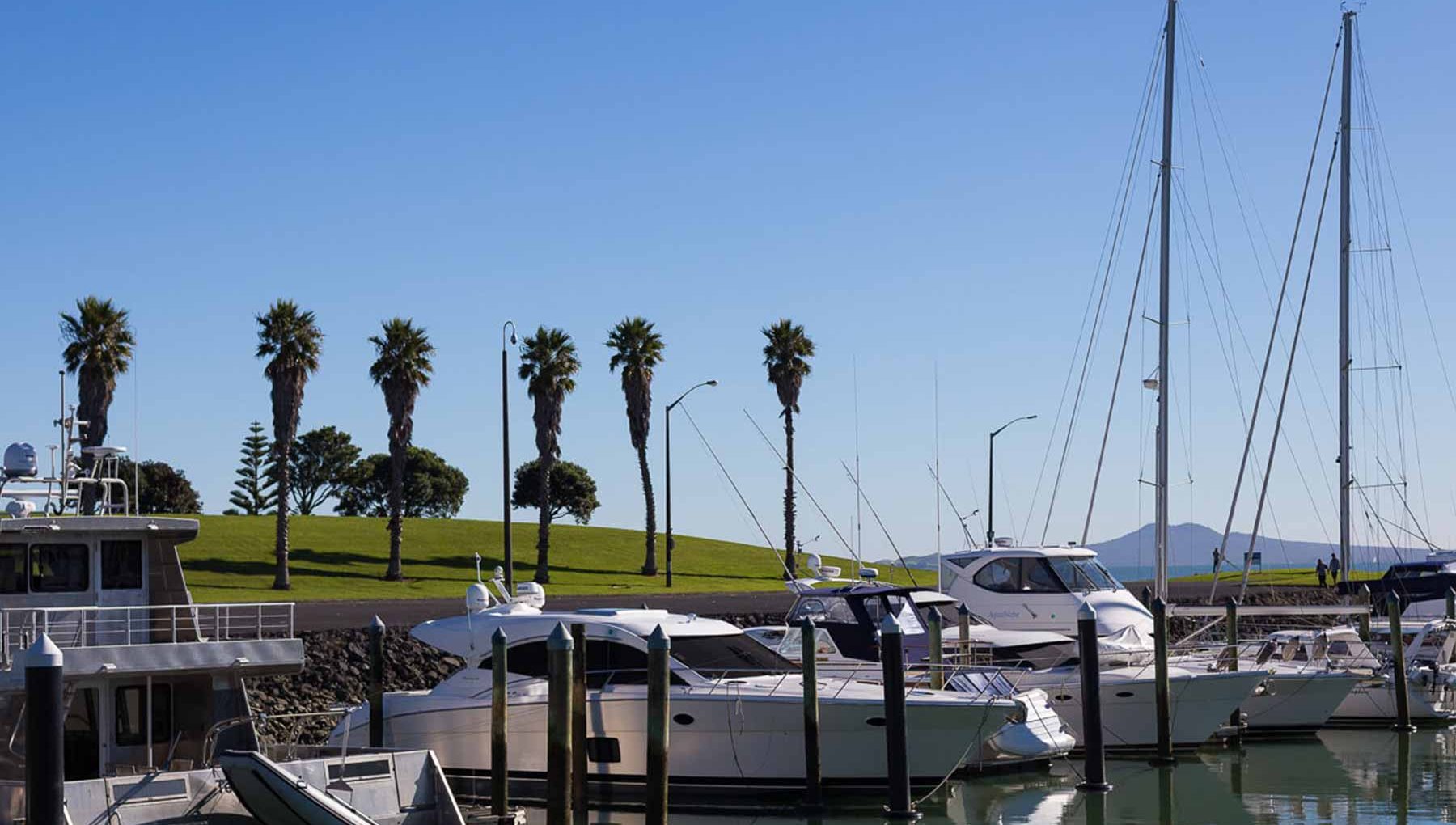 Pine Harbour Marina - Things to do near Rydges Formosa Golf Resort