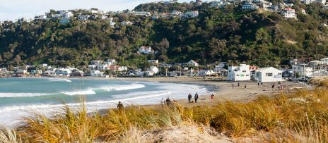 Lyall Bay - Things to Do Near Rydges Wellington Airport