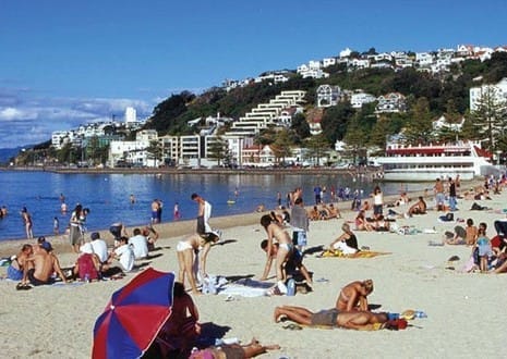 Oriental Bay - Things to Do Near Rydges Wellington Airport