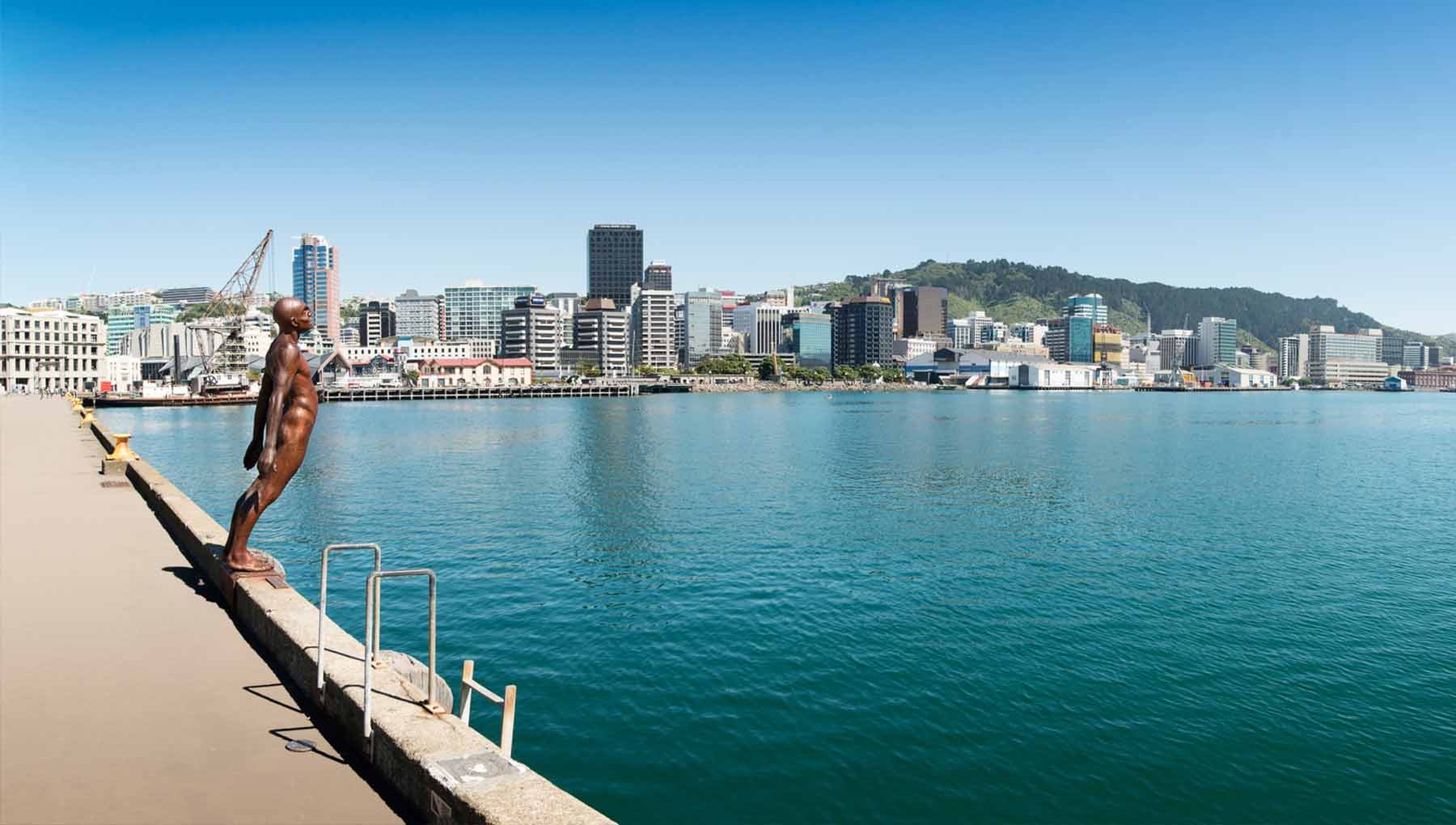 Things to do Wellington