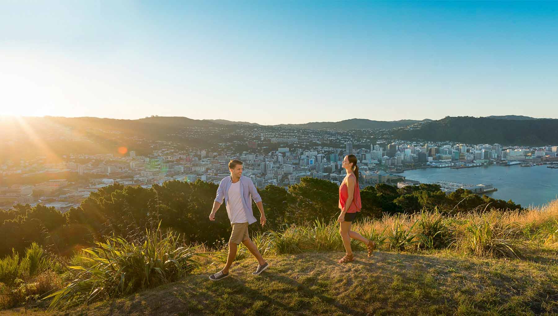 Things to do Wellington