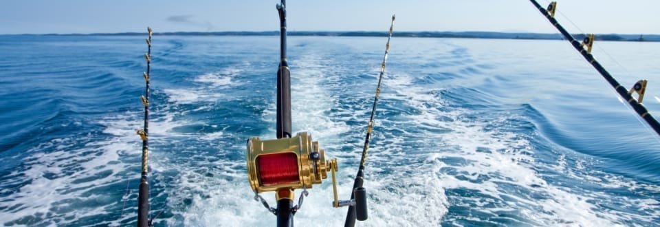 Port Macquarie Fishing Charters