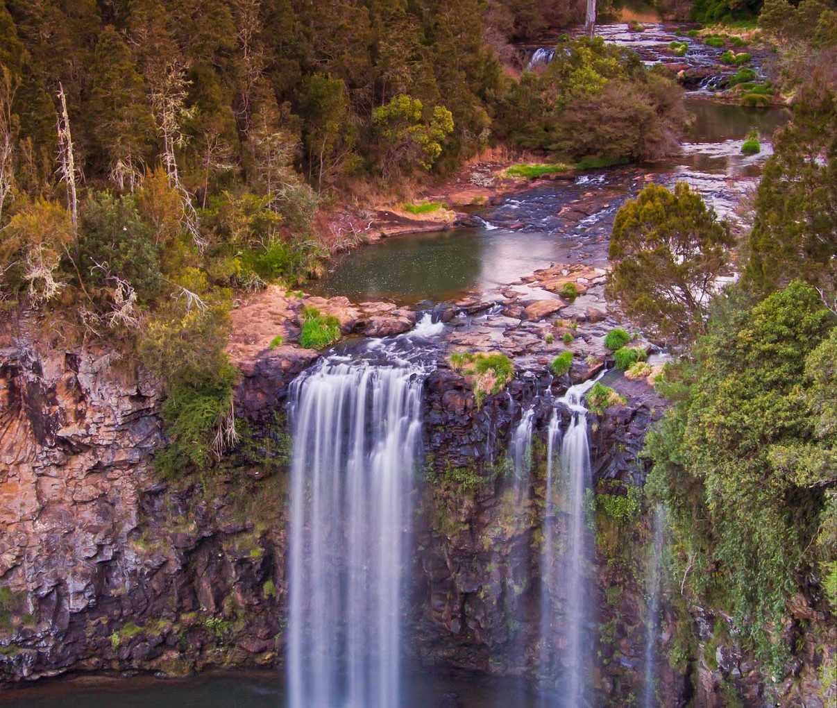 Dangar Falls - Things to do near Powerhouse Hotel Armidale