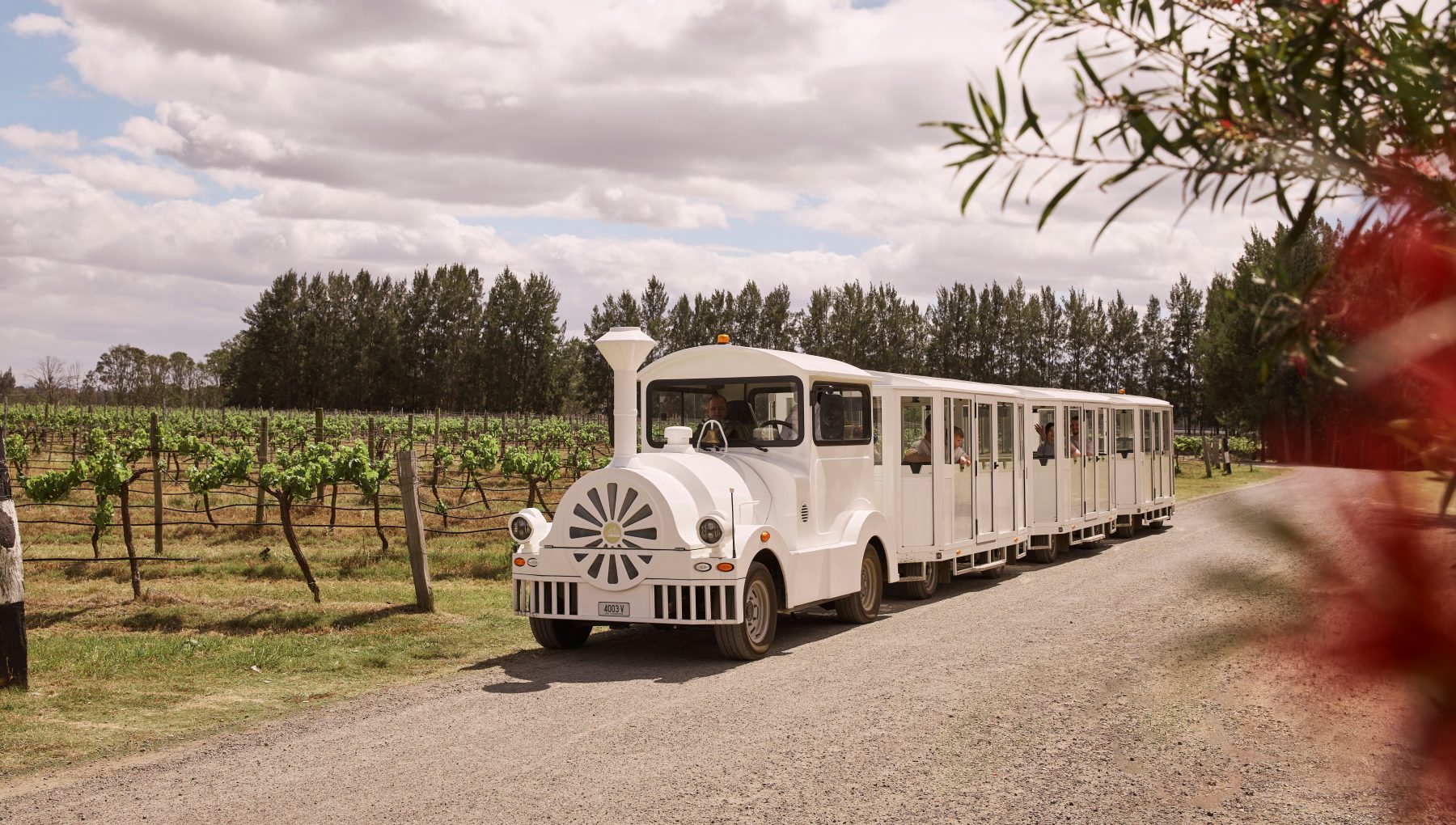 Kangaroo Tours with Deltrain