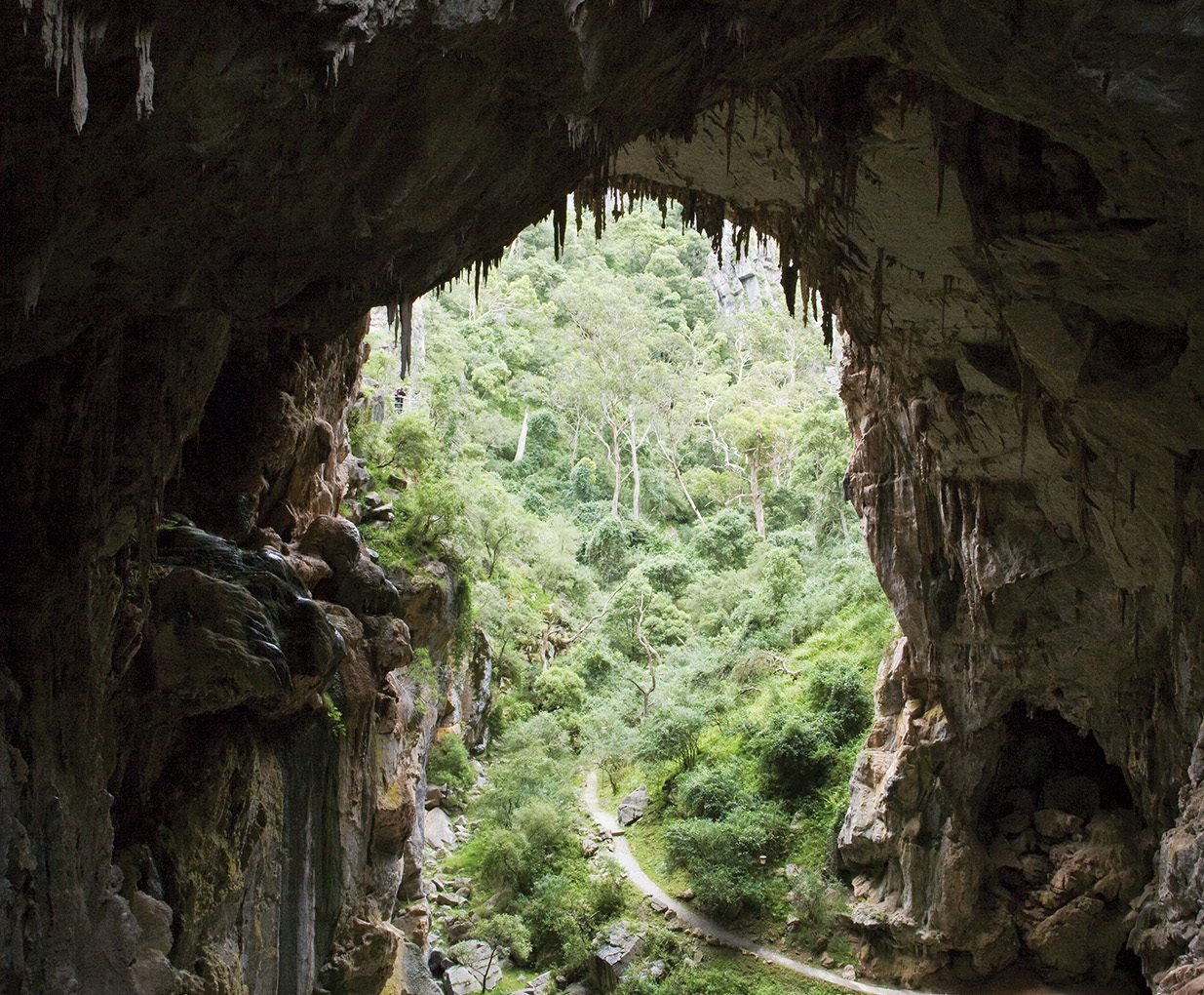 Jenolan Caves -Devils Coach House