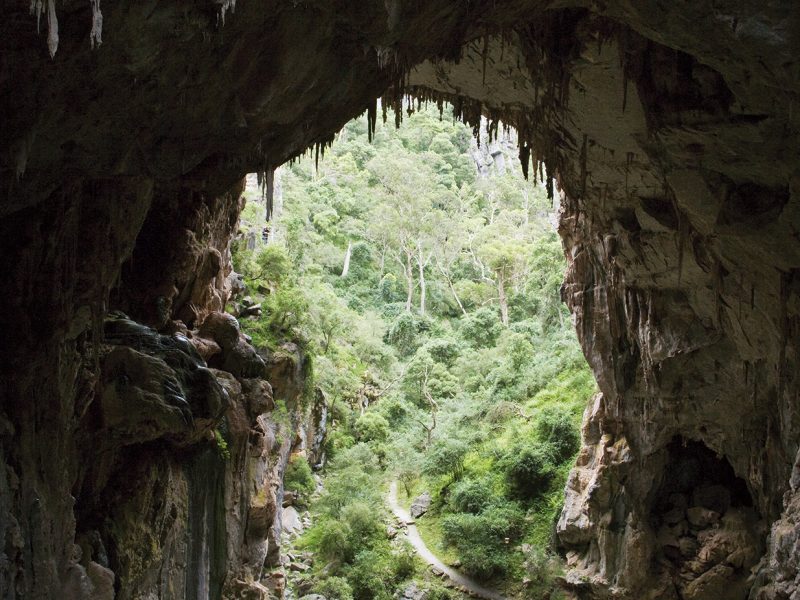 Jenolan Caves -Devils Coach House