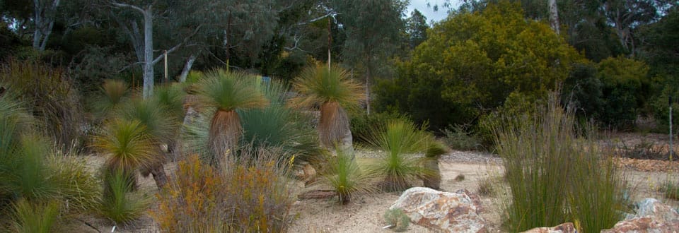 Bankstown City Gardens