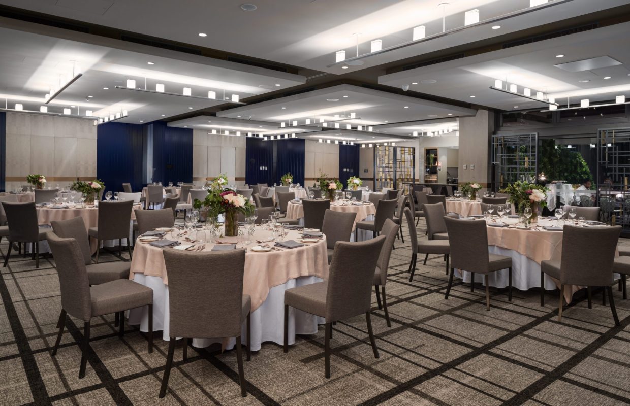 Discover all our venues