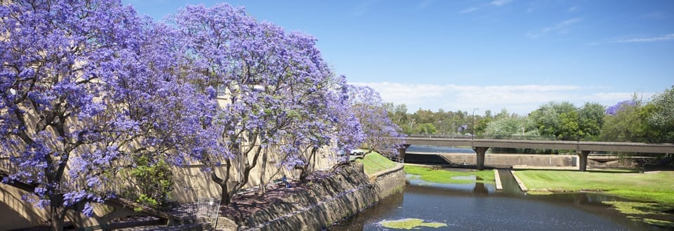 Parramatta Park