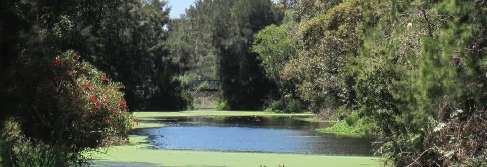 Parks And Recreational Facilities
