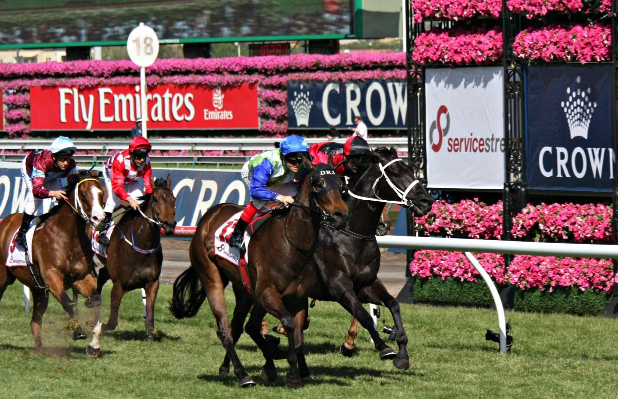 Melbourne Cup at Le Petit Flot