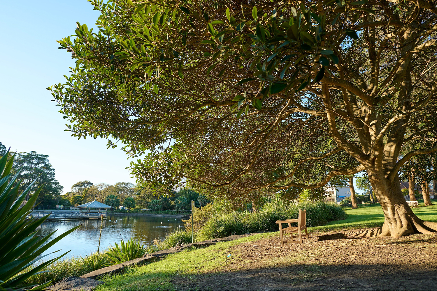 Wollongong Botanic Garden