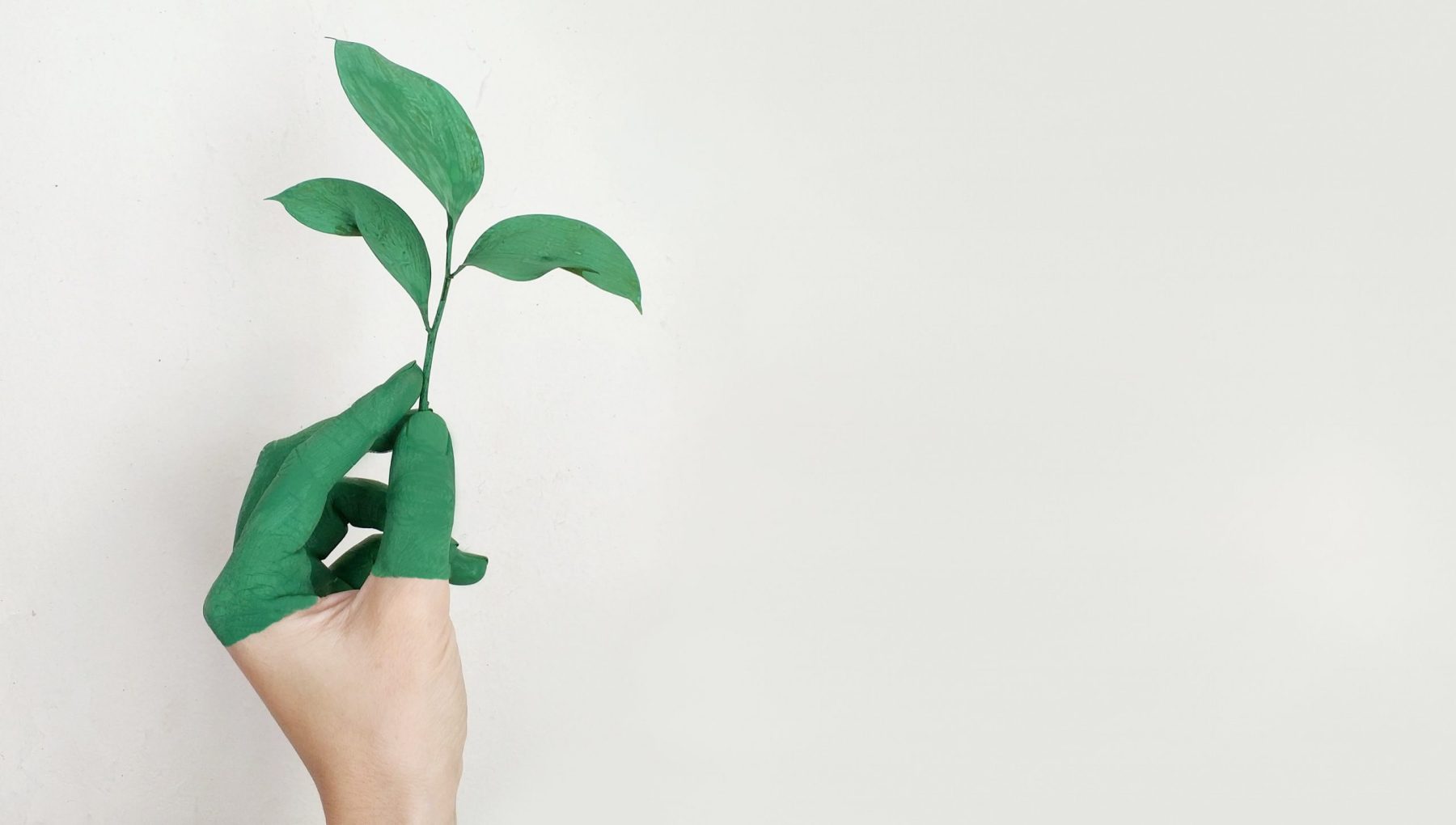 Go Green with Hotel TOTTO